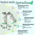 Masker Spirulina Herbal ( 10 Hari Pemakaian - 10 kapsul ) free kuas - masker wajah bpom -Kapsul Obat Jerawat -masker wajah paling ampuh untuk jerawat- masker wajah bpom viral tiktok - Free Kuas by Okesehatku. 