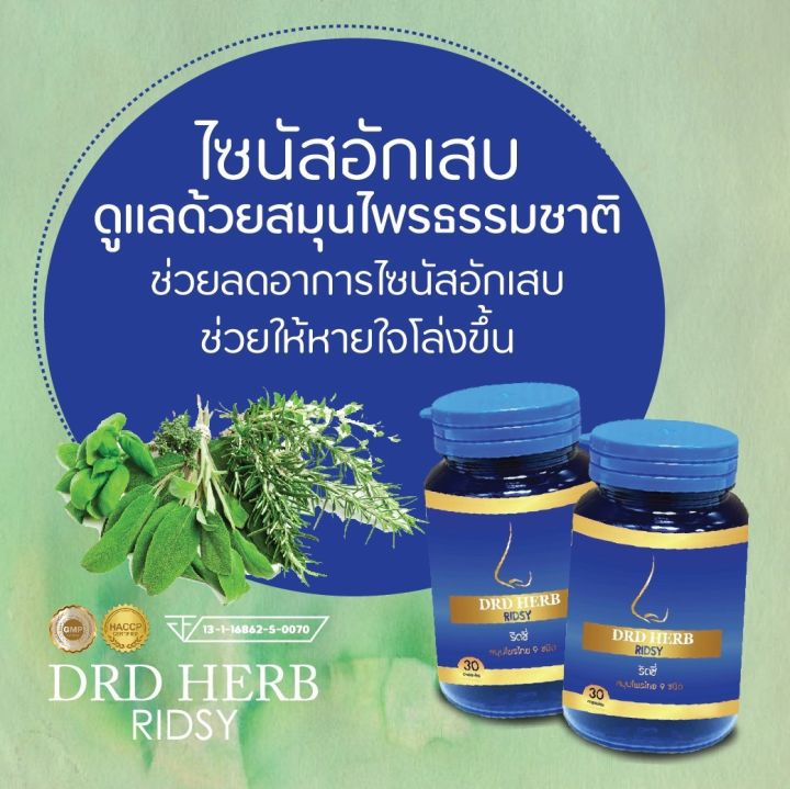 โปรสุดคุ้ม 7 กระปุก - ไซนัส ภูมิแพ้ ริดสีดวงจมูก DRD HERB RIDSY ของแท้ ...