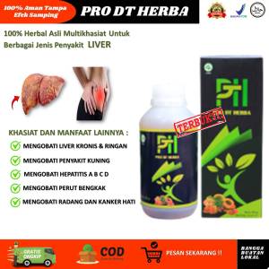 Obat Liver Alami Paling Ampuh Liver Perut Bengkak Liver Asam Lambung Liver Herbal Asli