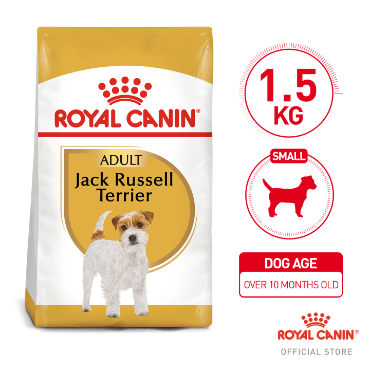 Royal canin junior jack best sale russell terrier