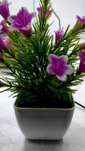 Akuarium Mini & Kabinet: Desain Dekoratif untuk Rumah Anda