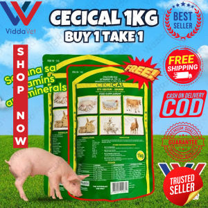 Promo Buy Cecical powder 1 kgtakeONECecical 1kg important minerals like calcium magnesium[Fast Shipping]