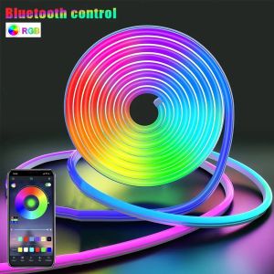 Creative USB LED Neon Strip Light RGBIC Dreamcolor Chasing Strip Tape 5m LED RGB DIY Light Waterproof Flexible Light Strip for Room Decoration Holiday Lighting