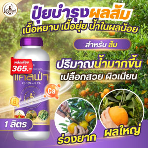 ปุ๋ยบำรุงส้ม แคลเซียมโบรอน (แคลฟ่า 1 ลิตร) เพิ่มปริมาณเนื้อ ผลใหญ่ขึ้น เปลือกสวย ผิวเนียน ขั้วผลเหนียว ดอกสมบูรณ์ ติดผลดี