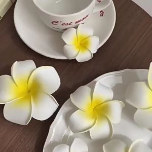 (Buy one get one free) Hawaiian Hibiscus Hair Clip/Frangipani Hairpin Holiday Beach Flower Hair Clip Womens Summer Beach Accessory