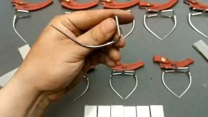 Cựa Gà Nòi Việt Lai 50 - Đủ Size