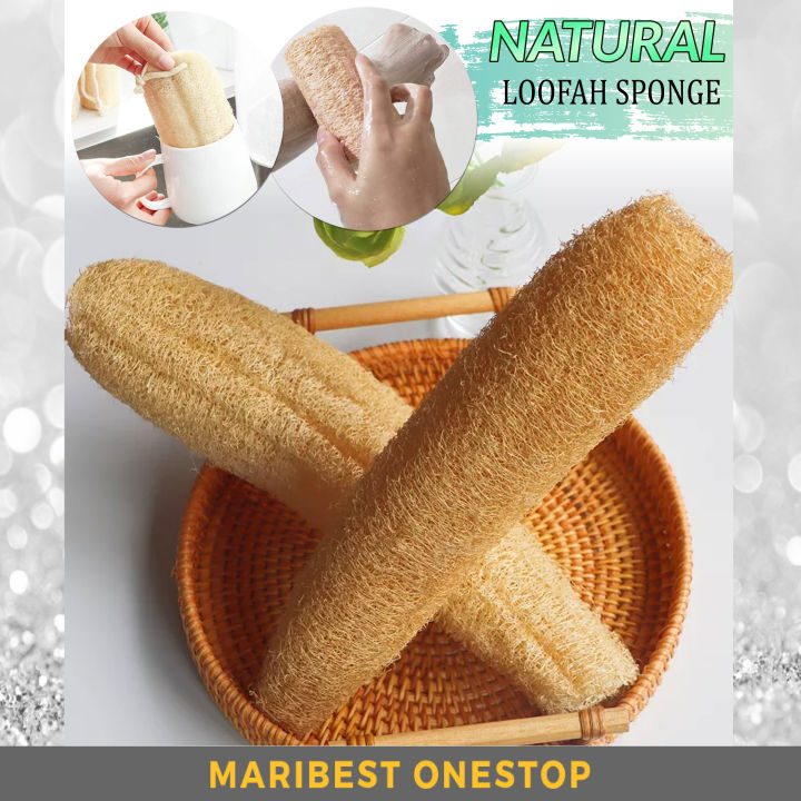 NATURAL LOOFAH SPONGE DISH WASH SPONGE Bath Sponge Body Scrubber Loofah