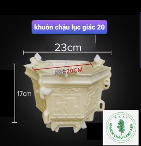 Khuôn đúc chậu cảnh lục giác 20 khuôn chậu ABS có lòng trong