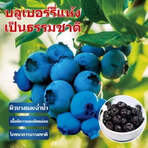 🫐บลูเบอร์รี่อบแห้ง - ดีต่อสุขภาพ ผลไม้บริสุทธิ์ ปราศจากน้ำมัน ปราศจากน้ำตาล อบแห้งตามธรรมชาติในอุณหภูมิต่ำ ปราศจากสารเติมแต่ง ดีต่อสุขภาพดวงตา无添加天然野生蓝莓干