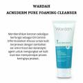 Wardah acnederm pure foaming cleanser/jual produk wardah terlengkap/perawatan kulit berjerawat/jual wardah terlengkap di indonesia. 