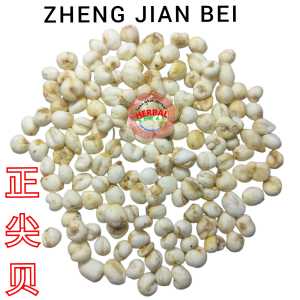 Grade A Chuan Bei Mu 100 Gram Pi Mu 川贝母 Bulbus Fritillariae Cirrhosae Batuk