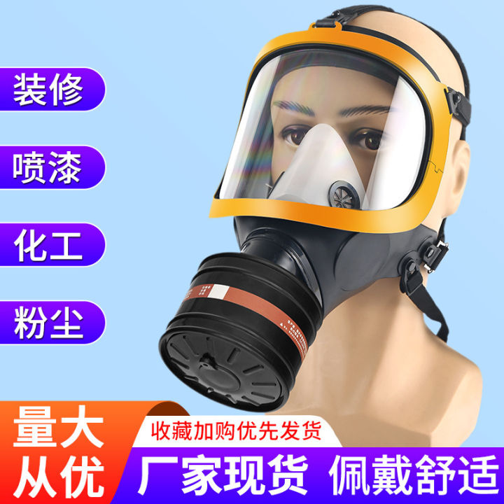 Gas mask Chemical gas fully enclosed protection Spray paint Pesticide ...