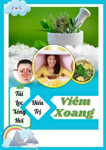 Túi Lọc Xông Hơi V-iêm X-oang - 20 túi lọc cải thiện viêm xoang trà đông y việt
