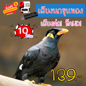 G8shop เสียงต่อ เสียงนกขุนทอง แฟลชไดร์ฟเสียงนกขุนทอง สำหรับต่อหรือล่อนก ความยาว 10 ชม.เสียงดัง เสียงใสกังวาน ได้ผล100%