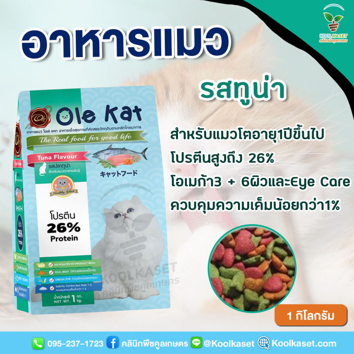 %E0%B8%AD%E0%B8%B2%E0%B8%AB%E0%B8%B2%E0%B8%A3%E0%B9%81%E0%B8%A1%E0%B8%A7%20Ole%20Kat%20%E0%B9%82%E0%B8%AD%E0%B9%80%E0%B8%A5%E0%B9%88%E0%B9%81%E0%B8%84%E0%B8%97%2010%20%E0%B8%81%E0%B8%B4%E0%B9%82%E0%B8%A5%E0%B8%81%E0%B8%A3%E0%B8%B1%E0%B8%A1%20%E0%B8%8A%E0%B8%99%E0%B8%B4%E0%B8%94%E0%B9%80%E0%B8%A1%E0%B9%87%E0%B8%94%20%E0%B8%AA%E0%B8%B9%E0%B8%95%E0%B8%A3%E0%B8%9E%E0%B8%A3%E0%B8%B5%E0%B9%80%E0%B8%A1%E0%B8%B5%E0%B9%88%E0%B8%A2%E0%B8%A1%20%E0%B8%A3%E0%B8%AA%E0%B8%8B%E0%B8%B5%E0%B8%9F%E0%B8%B9%E0%B9%89%E0%B8%94%20%E0%B8%A3%E0%B8%AA%E0%B8%97%E0%B8%B9%E0%B8%99%E0%B9%88%E0%B8%B2%20%E0%B8%A3%E0%B8%AA%E0%B9%81%E0%B8%8B%E0%B8%A5%E0%B8%A1%E0%B8%AD%E0%B8%99%20%E0%B8%AB%E0%B8%AD%E0%B8%A1%20%E0%B8%AD%E0%B8%A3%E0%B9%88%E0%B8%AD%E0%B8%A2%20%E0%B8%84%E0%B8%B9%E0%B8%A5%E0%B9%80%E0%B8%81%E0%B8%A9%E0%B8%95%E0%B8%A3%20KG10%20-%20Image%203