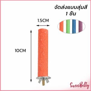 Sweet Belly ก้านไม้ของเล่นสําหรับนกแก้ว คอนลับเล็บ จัดส่งแบบสุ่มหลายสี ราคาต่อ 1 ชิ้น Wooden Bird Perch