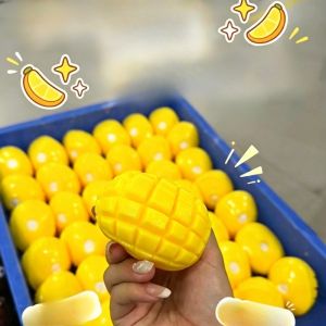 Xấu xí quýt Trái Cây Trầy Xước Căng Thẳng Bóng Sắc Nét Squishy Bóp Đồ Chơi Khối Tròn Đầy Fidget ToyASMR Chống Căng Thẳng Giải Phóng Tay Thư Giãn Quà Tặng