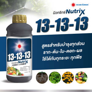ปุ๋ยน้ำ 13-13-13 สูตรสำหรับบำรุงได้ทุกช่วง ทุกระยะของพืชสูตรเข้มข้น บำรุง ต้น ดอก ผล ขยายขนาดใบ ใบเขียว ใบหนา ขยายผล ขนาด 1 ลิตร ดวงตะวันเพชร