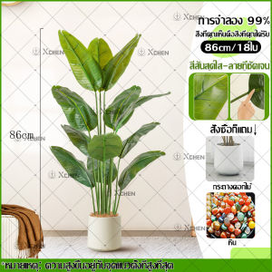 🔥ราคาถูกที่สุด 🔥ต้นไม้ปลอมใหญ่ ต้นไม้ปลอม 45-95CM ฟรีกระถางดอกไม้ต้นไม้+หินตกแต่ง สไตล์นอร์ดิก ต้นไม้มงคลสวยๆ ต้นไม้ปลอมแต่งบ้าน ต้นไม้มงคลปลอม ต้นไม้แต่งบ้าน fake plants