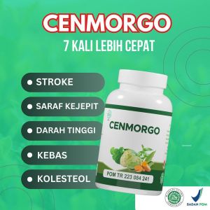 Cenmorgo - obat stroke ringan stroke berat stroke menahun