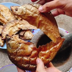 ปลาฉลาดแท้ ย่างแห้ง จากอยุธยา | สูตรโบราณ เนื้อแน่น หอม คัดพิเศษ