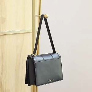 Clear Handbag Purse Hanger Hooks Set of 3 for Closet Organization and Bag Protective with High Load Bearing Capacity