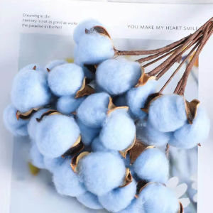 10 TANGKAI Cotton Dried Flower / Bunga Kapas Preserved flower A010 - White