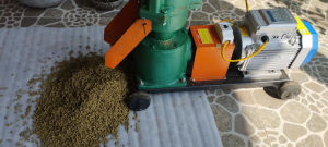 Máy làm cám chim tại nhà giá tốt nhất 2025