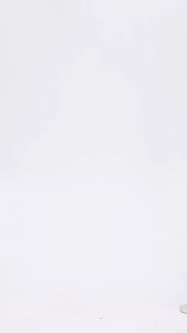 Yolo mới chéo áo ngực thể thao lưng vẻ đẹp áo ngực lưng chống sốc tập hợp Áo ngực thể thao