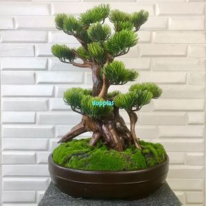 Pohon Hias Tanaman Artificial Bonsai Lohansung Latex Pot Semen Oval Dekorasi Meja Tamu