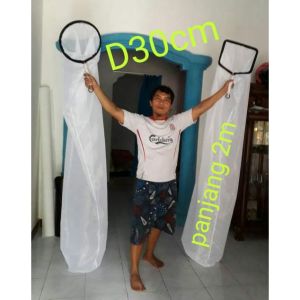 Seser Serokan Cacing sutra Casut