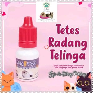 Obat Tetes Radang Telinga Kucing / Anabul Otitis Keluar Cairan dari Lubang Telinga
