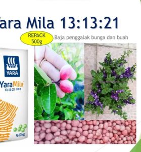 MDC - 13:13:21 flower / fruit inducer Fertilizer