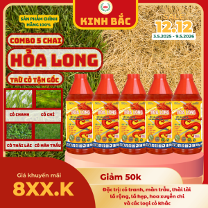(Combo 5 chai Hỏa Long)chai 1000ml-Kinh Bắc-Quản lý nhiều loại cỏ dại: Cỏ chanh màn trầu thài lài cỏ gấu và nhiều loại cỏ khác thuốc không mùi an toàn hiệu quả