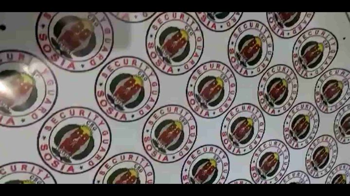 Security Guard Sticker Sosia Logo White