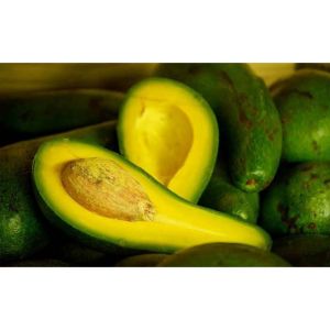 Sindo - Avocado Aligator / Alpukat By Andhika Live Plant IF9CB4IEOA