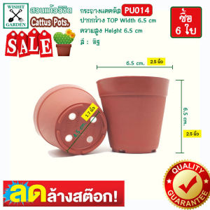 กระถาง PU014 ขนาด 2.5 นิ้ว สีอิฐ 6 ใบ เนื้อพลาสติกแน่นหนาทนทาน ราคาถูก กระถางแคคตัส กระถางกระบองเพชร