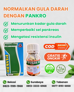 KAPSUL PANKRO CAMPUR 180 KAPSUL | Obat Diabetes Terampuh! - Obat Kencing Manis - Obat Gula Kering
