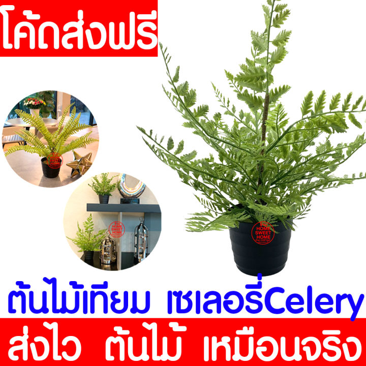 ต้นไม้ประดิษฐ์สไตล์มินิมอล ต้นเซเลอรี่ เฟิร์น