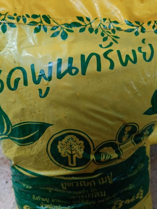 RG1 ดินปลูกผัก สูตรใบก้ามปู 4กก.