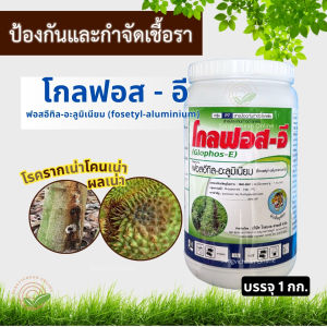 โกลฟอส-อี 1กิโลกรัม ฟอสอีทิล-อะลูมิเนียม ออกฤทธิ์ดูดซึม ป้องกันรากเน่าโคนเน่า ผลเน่า