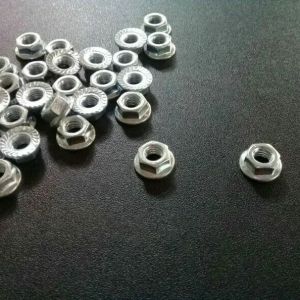 (10pcs) Mur Flange M6 Mur 10 K10 / Flange Nut Universal untuk Plat nomor / whinseald part