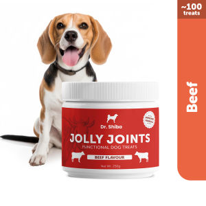 Dr Shiba Jolly Joints Healthy Dog Treats Supplement Snacks for Pets for Dog Joint Support with Dog probiotics Dog Multivitamins Appetite Booster for Dogs: Puppy food/Adult Dog Food for Joint Support Natural Ingredients Delicious Dog Health Treats