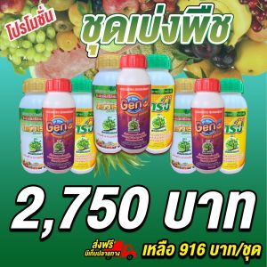 ต้านทานโรคและแมลง สารธรรมชาติกระตุ้นการแบ่งเซลล์ ต้นพืชแข็งแรง ชุดเบ่งพืช3ชุด กระตุ้นการแตกราก พืชเขียวทน เขียวนาน เร่งเปิดตาใบ อัตราการงอกสูง