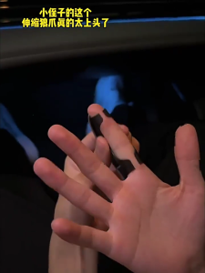 Retractable Wolf Claws Toy 3D Cosplay Wolf Claws Finger Toy Wolf Claws Cosplay Costume Props For Kids Adults Halloween