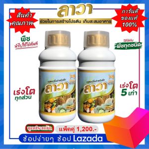 ปุ๋ยน้ำลาวา(แพ็คคู่2ขวด)ขวดละ500ซีซี. เป็นชุดสุดคุ้มและประหยัดสูตรอาหารของพืชครบถ้วนใช้กับพืชได้ทุกชนิด