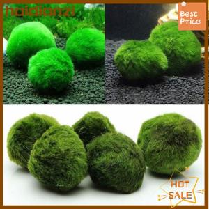 haidianzi 3-4cm marimo rêu quả Bóng Sống Aquarium thực vật tảo cá tôm bể trang trí mô phỏng màu xanh lá cây tảo quả bóng cây nhân tạo