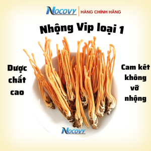 Đông trùng hạ thảo khô nguyên con nhộng tằm Nocovy sấy  thăng hoa  loại Vip cam kết không vỡ nhộng hỗ tr.ợ t.ăng c.ường si.nh l.ý phòng co-vid ngừa c.úm