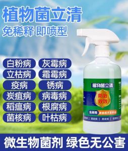 菌立清微生物菌剂新型杀菌剂根腐枯黄灰霉病紫斑叶斑病农用杀菌剂 Microbial agents new fungicides root rot yellow gray moldagricultural fungicides