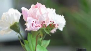 Camille Rose Jansyns Moisture Max Conditioner 8 Oz